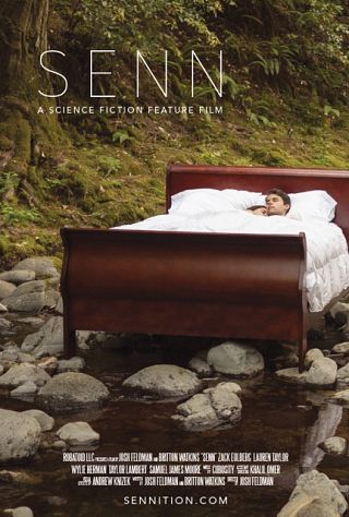 Senn (2013)