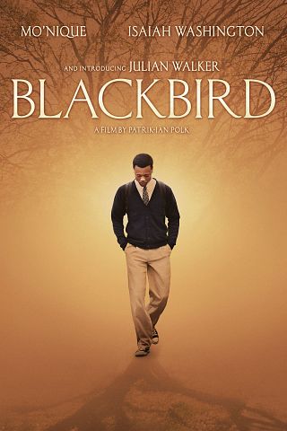 Blackbird (IV) (2014)